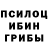 Псилоцибиновые грибы мухоморы Samir Hesimov