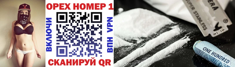 blacksprut онион  Судак  Cocaine Эквадор 