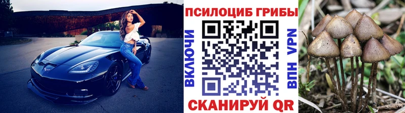 закладка Судак Галлюциногенные грибы ЛСД