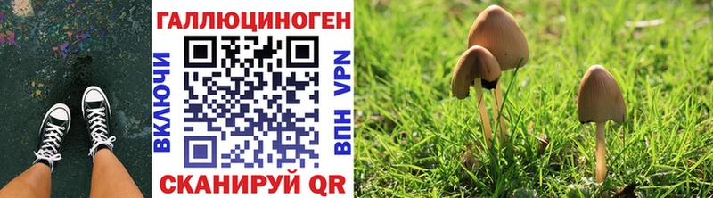 Галлюциногенные грибы мухоморы Судак